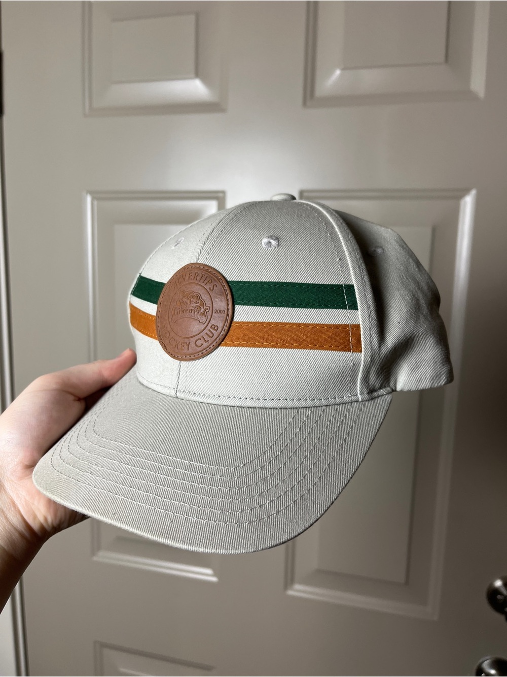 Everett Silvertips Multi Stripe Hat